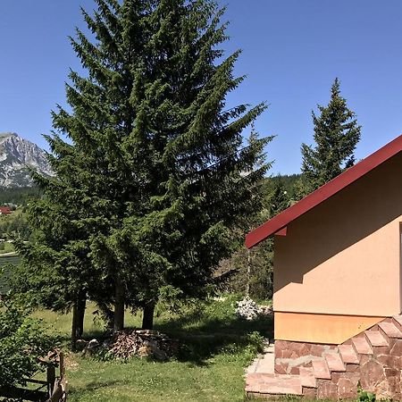 Durmitor Apartments Holiday 자블야크 외부 사진