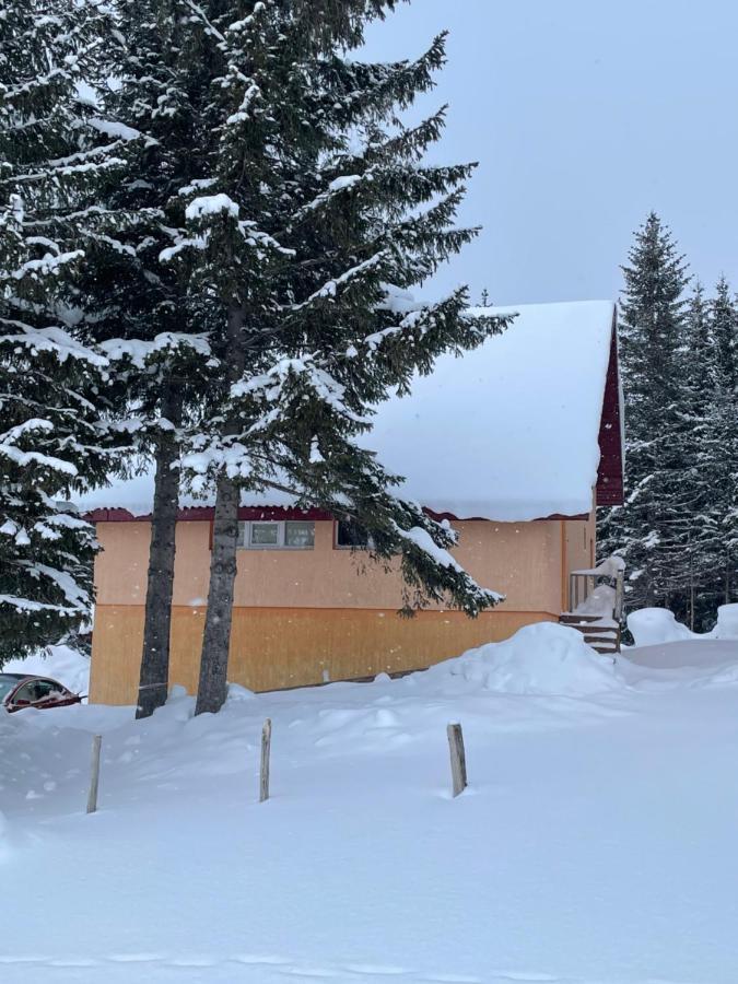 Durmitor Apartments Holiday 자블야크 외부 사진