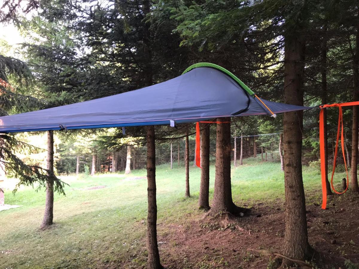 Durmitor Apartments Holiday 자블야크 외부 사진