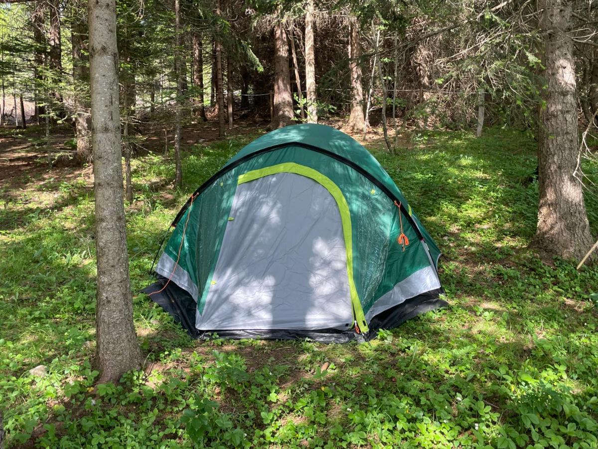 Durmitor Apartments Holiday 자블야크 외부 사진
