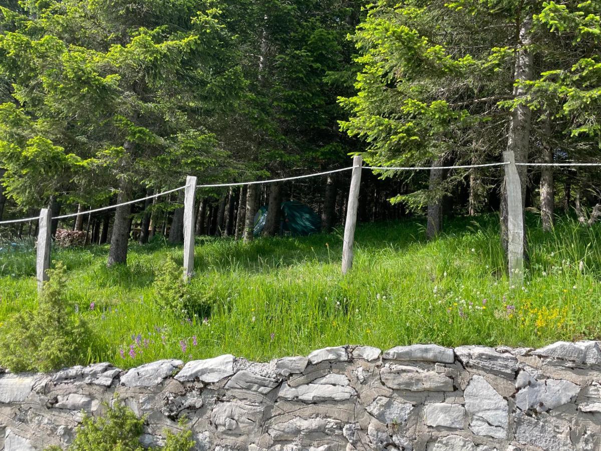 Durmitor Apartments Holiday 자블야크 외부 사진
