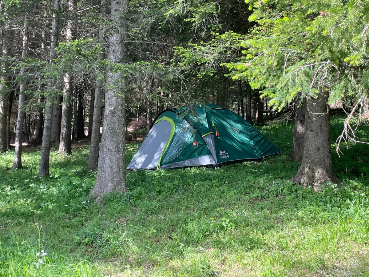 Durmitor Apartments Holiday 자블야크 외부 사진