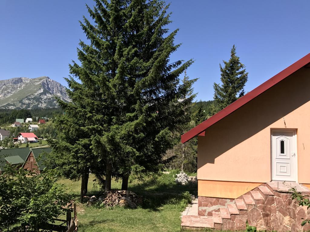 Durmitor Apartments Holiday 자블야크 외부 사진